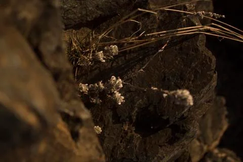 Stone rocks background Stock Photos