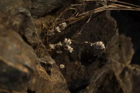 Stone rocks background Photos