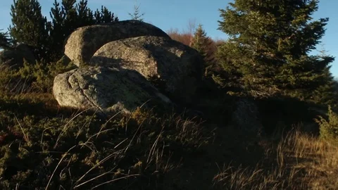 Stone Rocks Mountain Blue Sky Evergreen Forest Dry Weeds Snow Peak Sunny Stock Footage 69834546