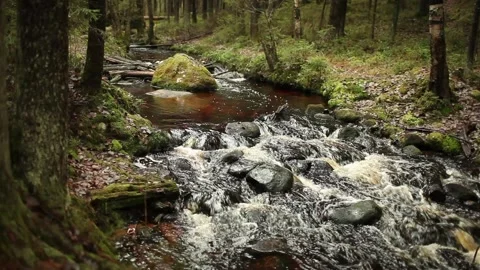 Stone roll on fast river Stock Footage 86034543