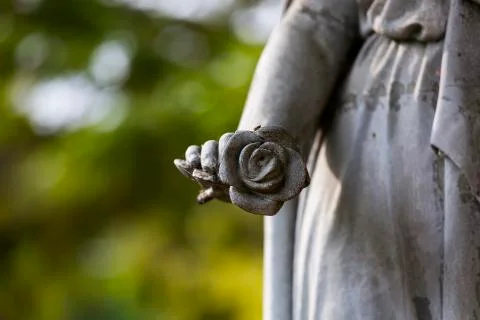 Stone rose Stock-Fotos