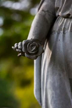 Stone rose Stock Photos