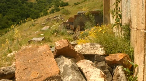 Stone Rubble with Overgrown Plants Stock Footage 53232786