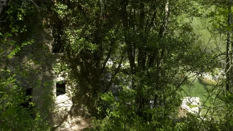 Stone ruin covered with vegetation by the river in Provence Stock Footage 221555447