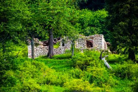 Stone ruin in the woods Stock Photos