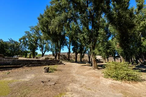 Stone ruins and trees in Triangular Forum, Pompeii 库存照片