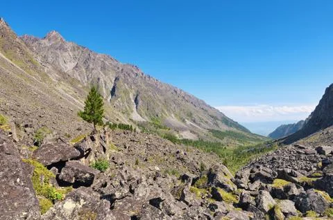 Stone run Foto stock