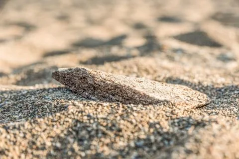 Stone in the sand Foto stock