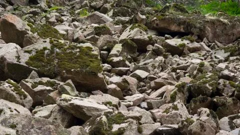 Stone scree in the mountains. Rockfall. Stock Photos