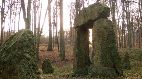 Stone sculpture in Brussels forest. Stock Footage 33445304