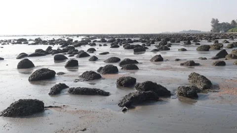 Stone in sea beach Stock Footage 258827466