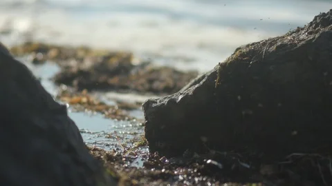 Stone by the sea 스톡 동영상 117822601