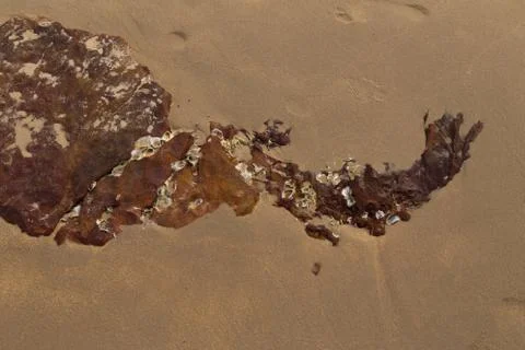 Stone on sea sand Stock Photos