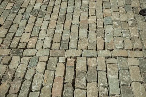 Stone setts blocks being sand-seated in a construction site Stock Photos