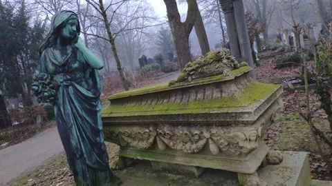 Stone-shaped coffin overgrown with moos 動画素材 168533398
