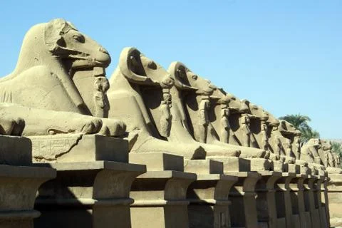 Stone sheep Stock Photos