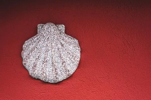 Stone shell Stock Photos