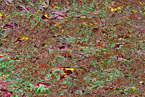 Stone, shell rock texture background. Texture of shell rock limestone for b.. Stock Photos