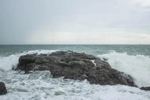 Stone in shells Stock Photos