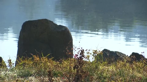 STONE IN THE SHORE OF A LAKE Stock Footage 97305055