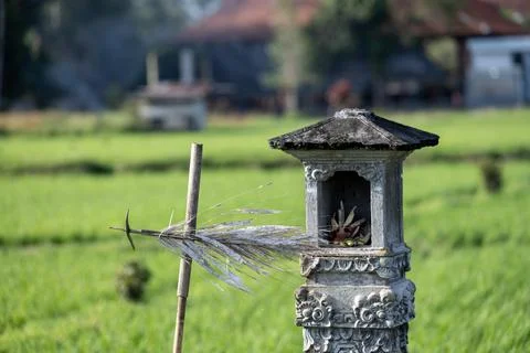 Stone Shrine With Offerings in Ubud Subak Landscape Stock Photos