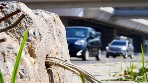 Stone On The Side Walk Stock Footage 262144744