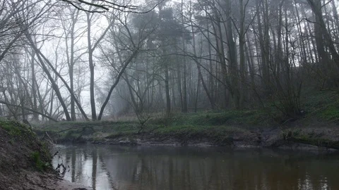 Stone skims across river 스톡 동영상 78031603