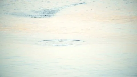 Stone skipped on water Stock Footage 74750986