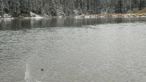 Stone Skipping Across River Stock Footage 101033167