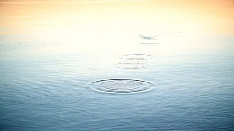 Stone skipping on calm water surface Stock Footage 72903123