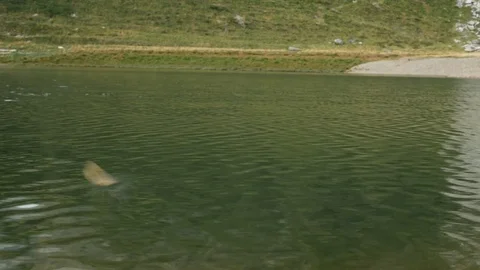 Stone skipping on the water. Stock Footage 79655354