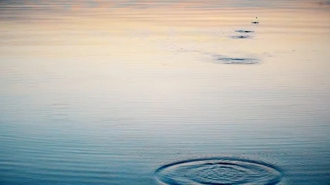 Stone skipping on water Stock Footage 88520618