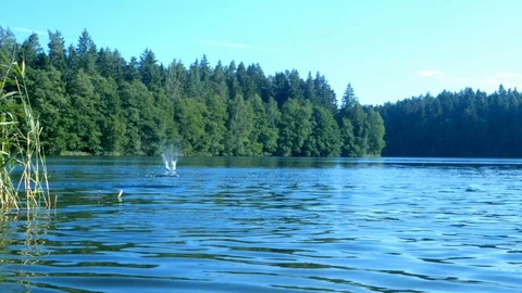 Stone skipping water Stock Footage 93547762