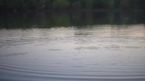 Stone skipping on water surface. Beautiful view of throwing a small flattened Stock Footage 130718331