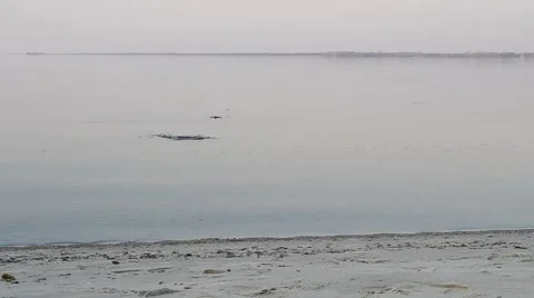 Stone skipping on water surface Stock Footage 48360226