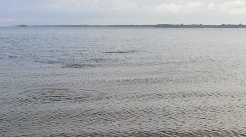 Stone skipping on water surface with small waves Stock Footage 54663008