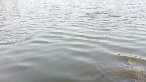 Stone skipping wind rippled water splash effect Stock Footage 307000345