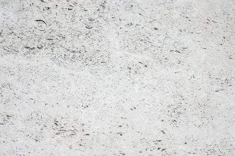 Stone slab travertine Stock Photos