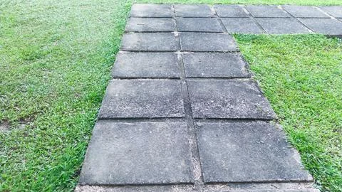 Stone Slabs Creating a Charming Pathway Through Lush Green Grass Stock Photos