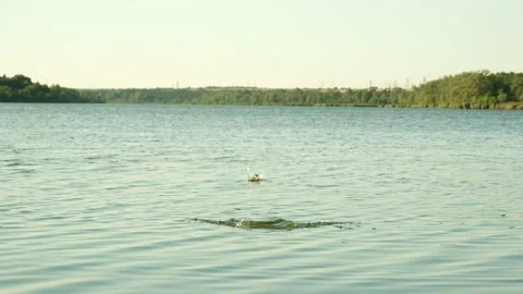 A stone sliding on water Stock Footage 280593985