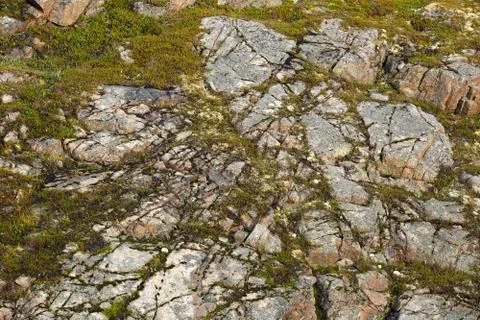 Stone smooth surface for the background Stock Photos