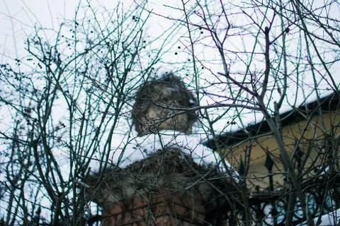 Stone sphere covered with snow behind weaving dry branches of the tree Stock Photos