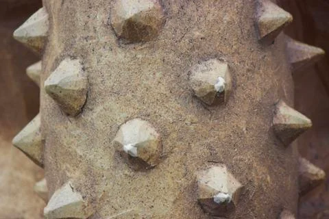 Stone with Spikes Stock Photos