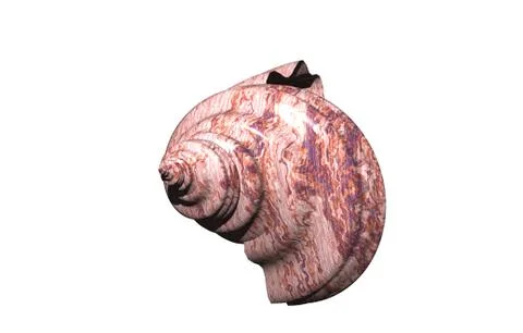 Stone spiral snail shells with structure Stock Illustration