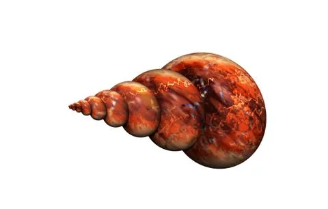 Stone spiral snail shells with structure Stock Illustration