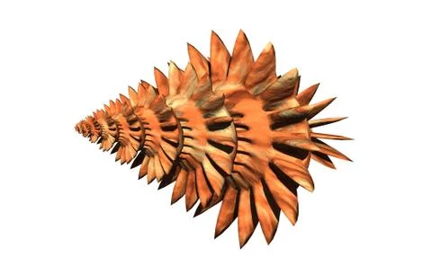 Stone spiral snail shells with structure Stock Illustration