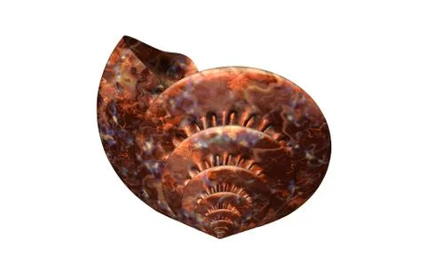 Stone spiral snail shells with structure Stock Illustration