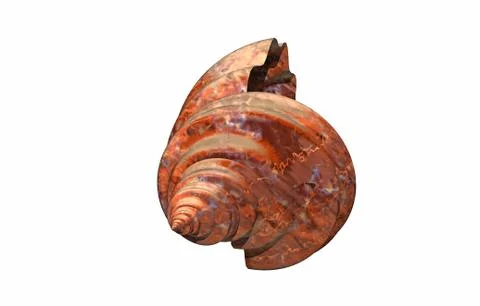 Stone spiral snail shells with structure Stock Illustration