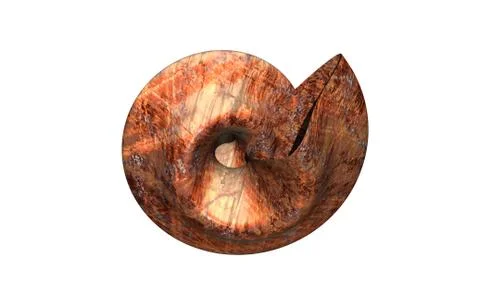 Stone spiral snail shells with structure Stock Illustration