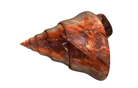 Stone spiral snail shells with structure Stock Illustration